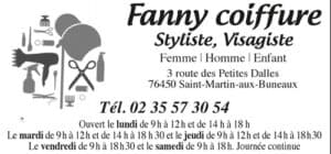 Fanny coiffure